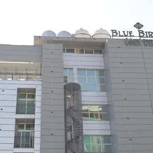 Отель Blue Birds International